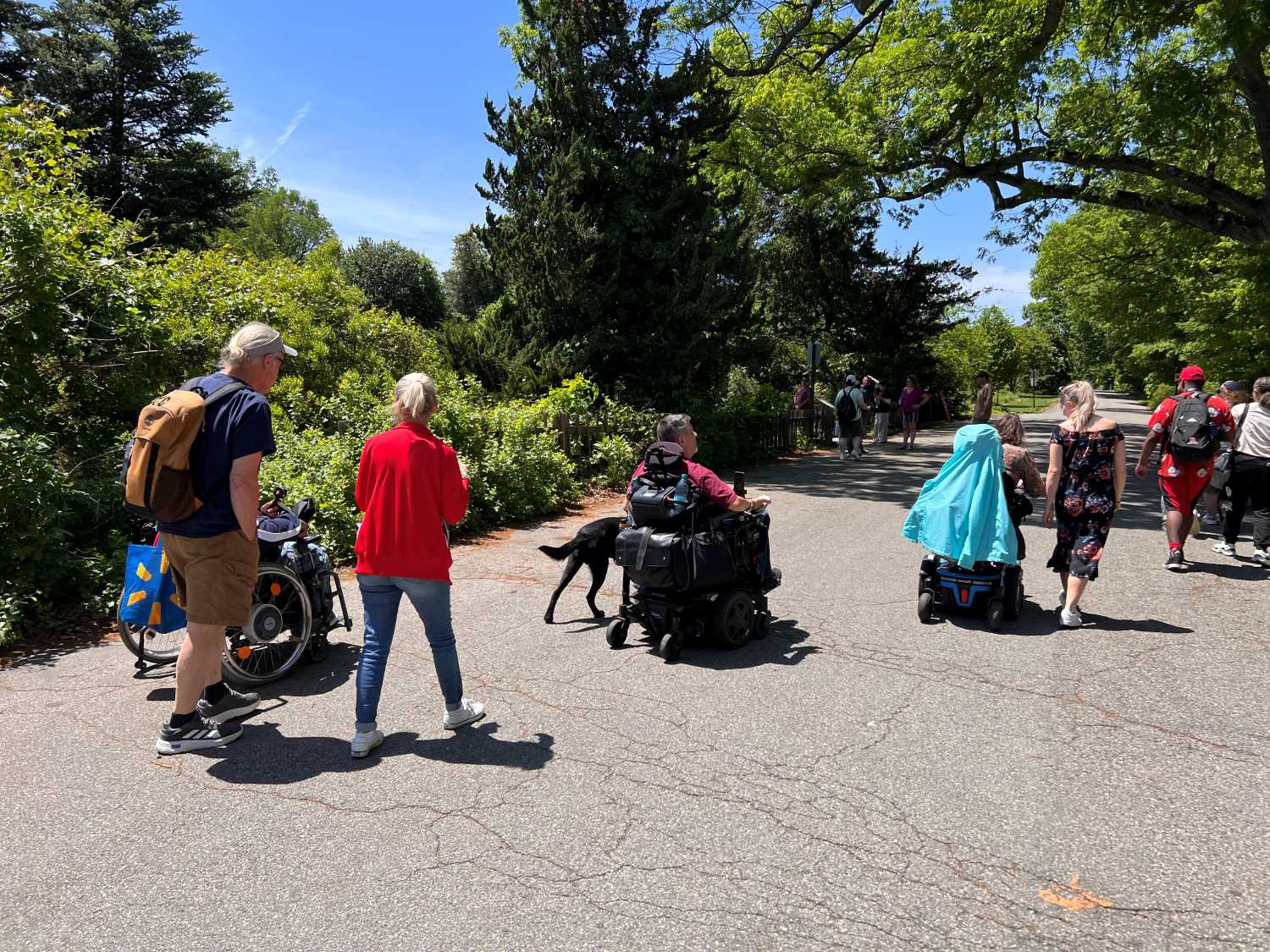 Access Nature Forum – Rutgers School of Music: Botanical Gardens Drumming Circles, & Garden Access for People with Disabilities
