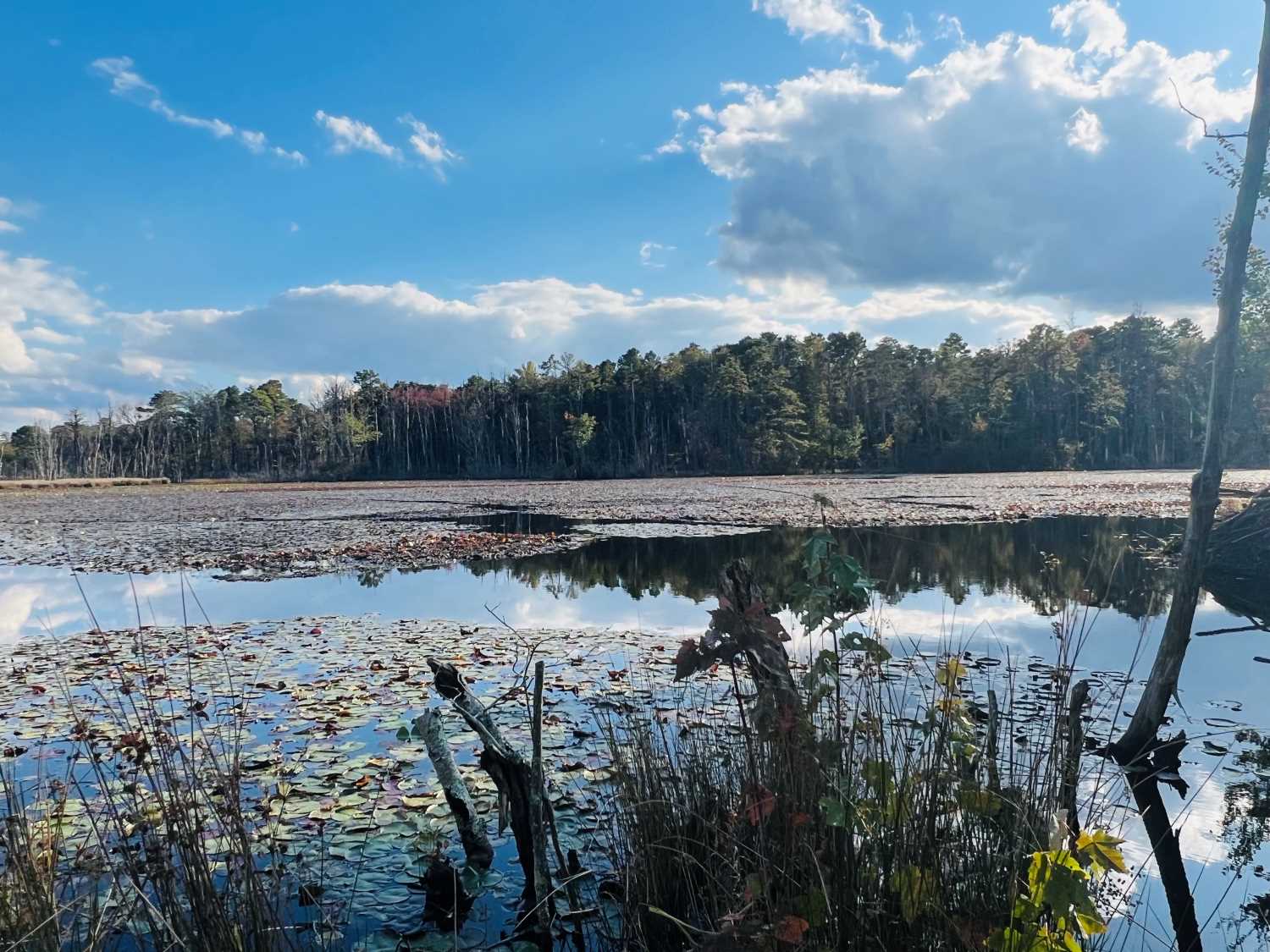 Pinelands is For Everyone – Trail Evaluation at the Black Run Preserve