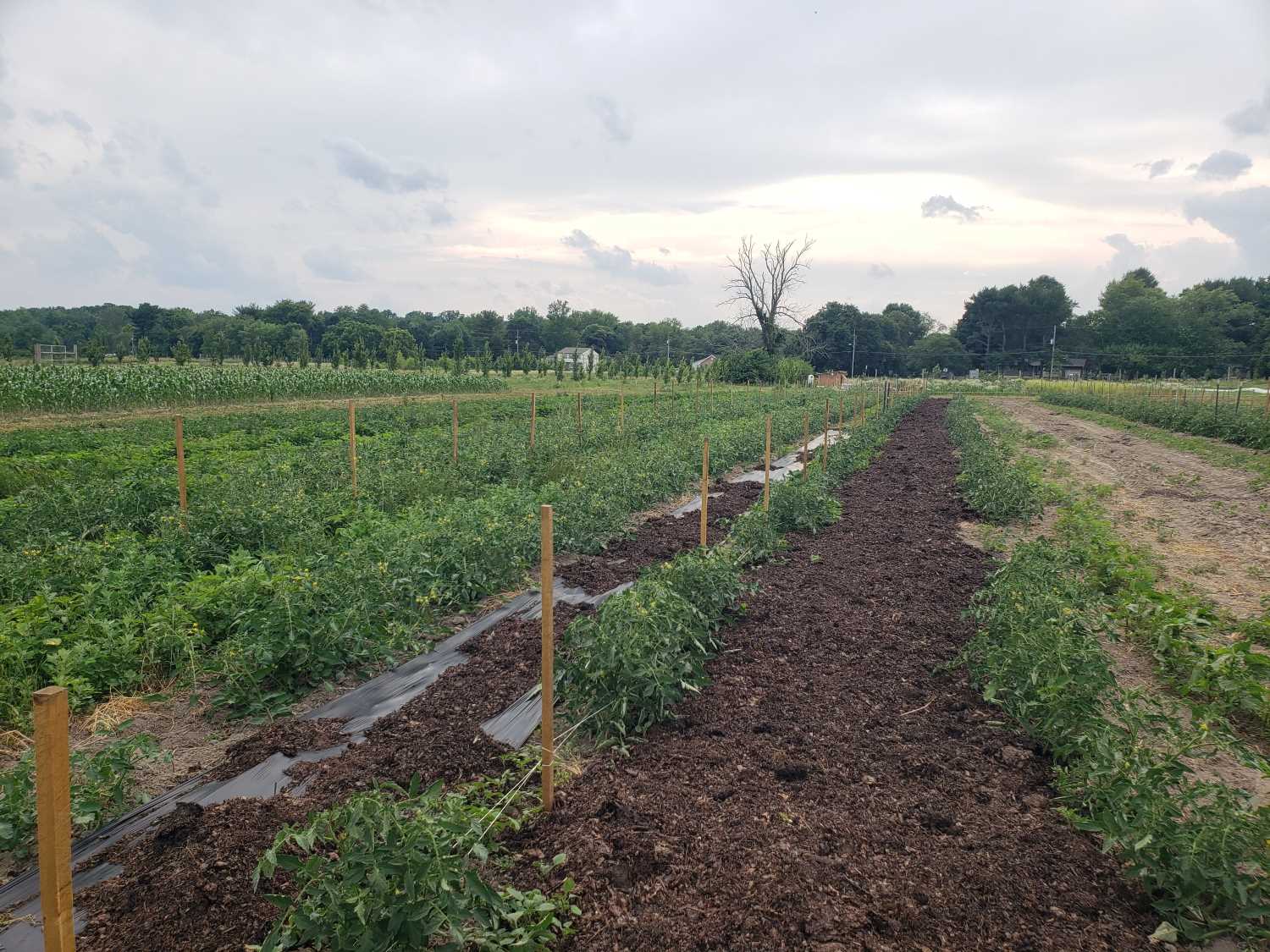 Rancocas Farm Field Trip with Kingsway