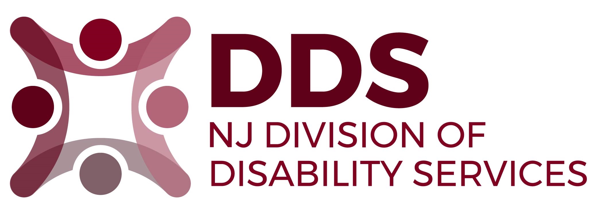 NJ Division of Disability Services