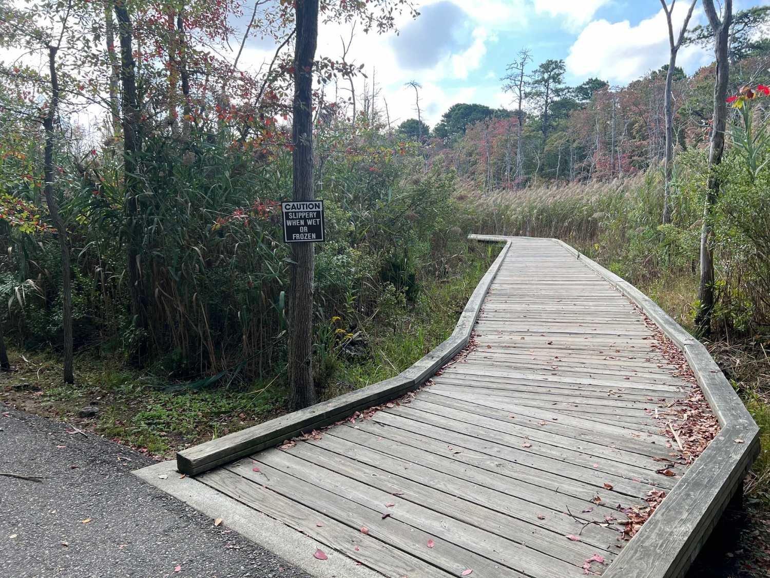 Boardwalk Trail
